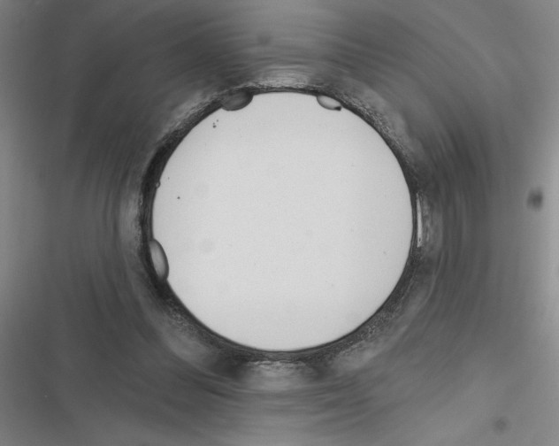 X0000116380300201001131814