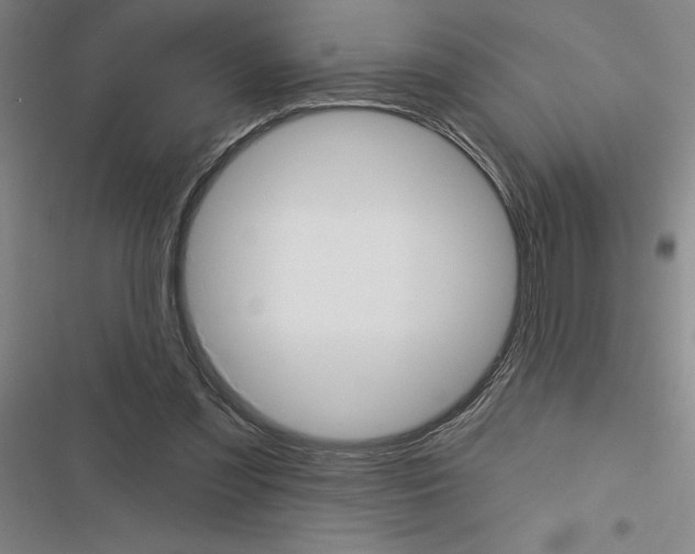 X0000116380301201001131814