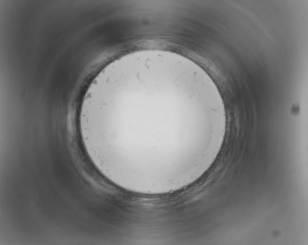 X0000116380302201001131814