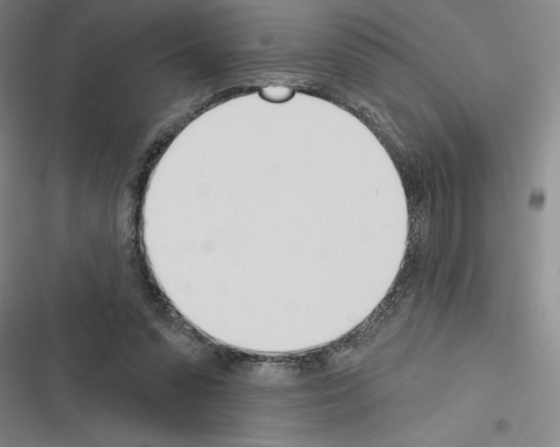 X0000116380303201001131814