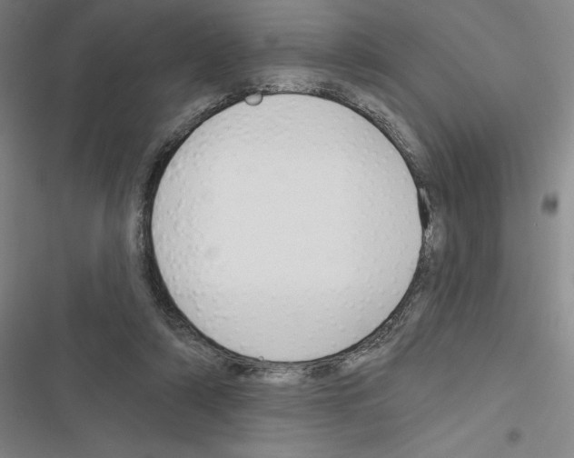 X0000116380306201001131814