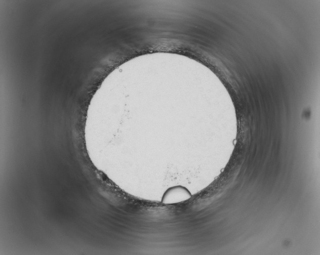 X0000116380307201001131814