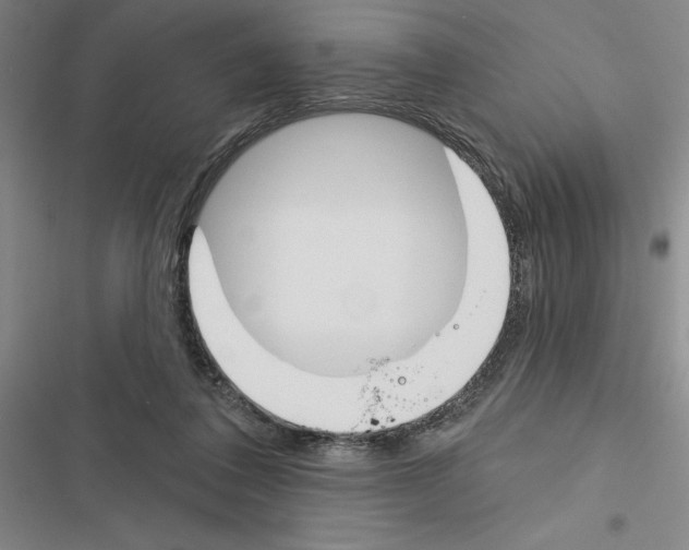 X0000116380308201001131814