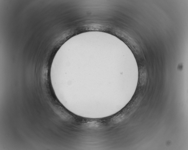 X0000116380310201001131814