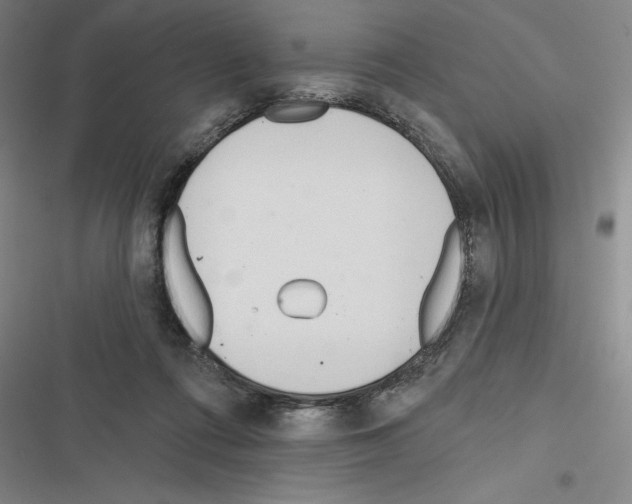 X0000116380312201001131814