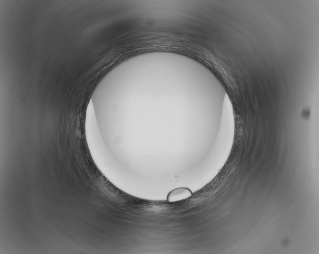 X0000116380313201001131814