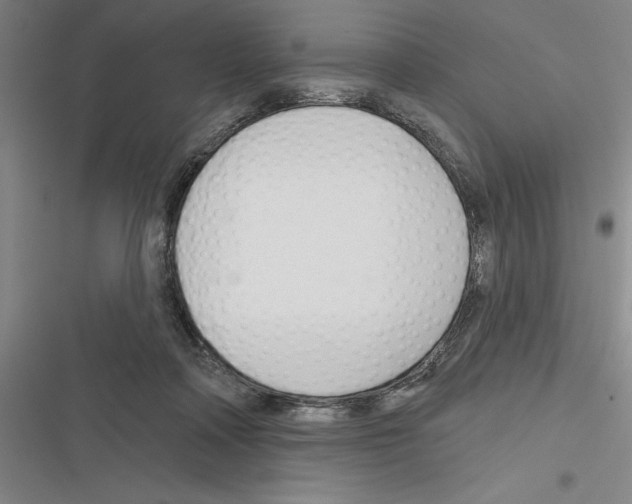 X0000116380314201001131814