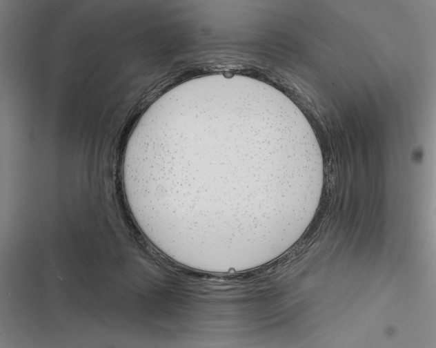 X0000116380315201001131814