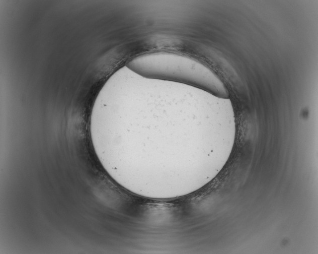 X0000116380316201001131814