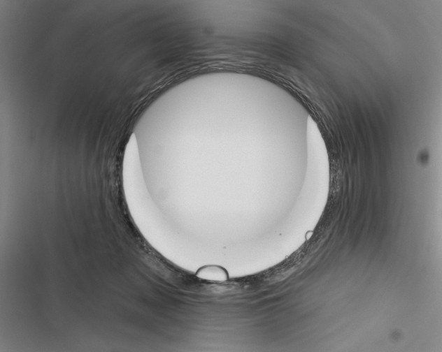 X0000116380317201001131814