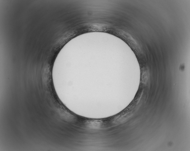 X0000116380318201001131814