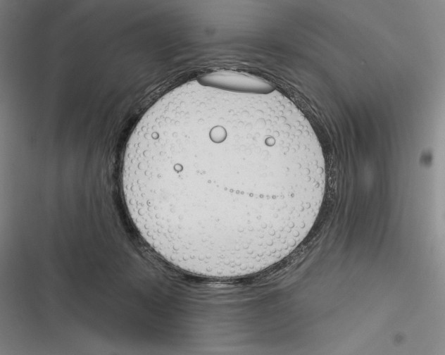 X0000116380319201001131814