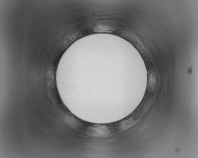 X0000116380322201001131814