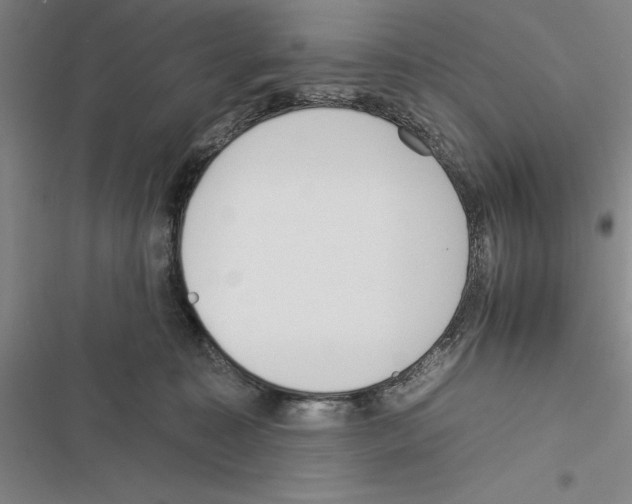 X0000116380323201001131814