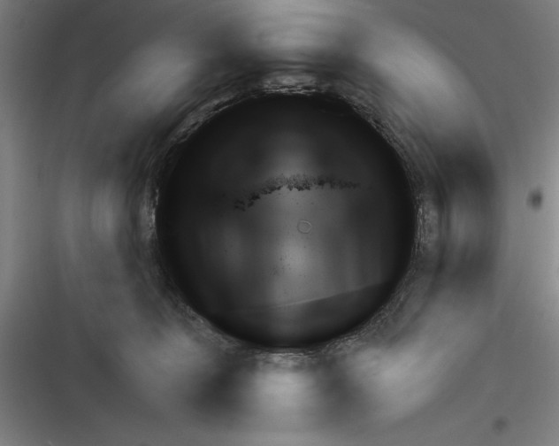 X0000116380324201001131814