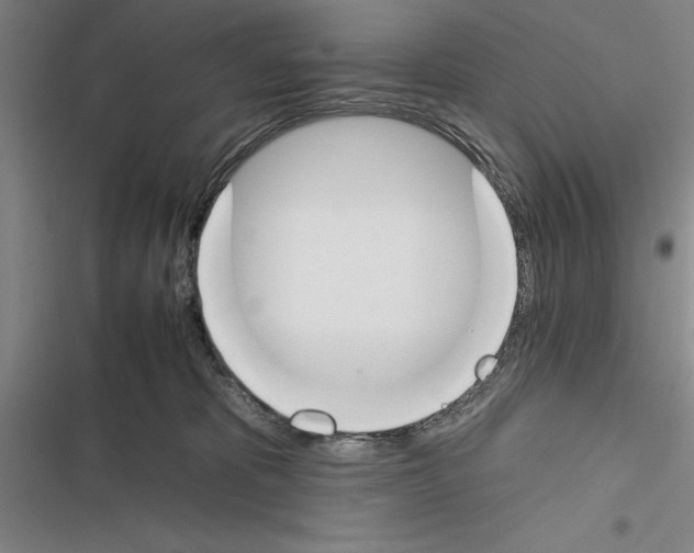 X0000116380325201001131814