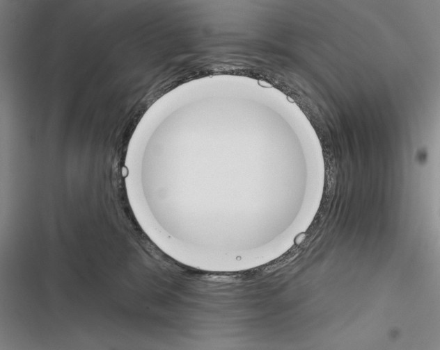 X0000116380327201001131814