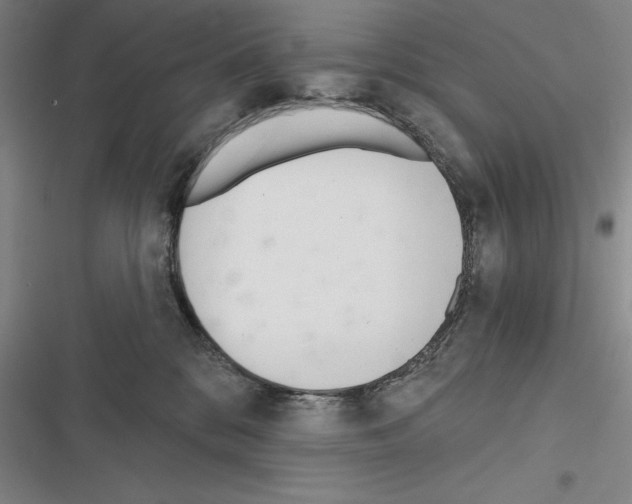 X0000116380328201001131814