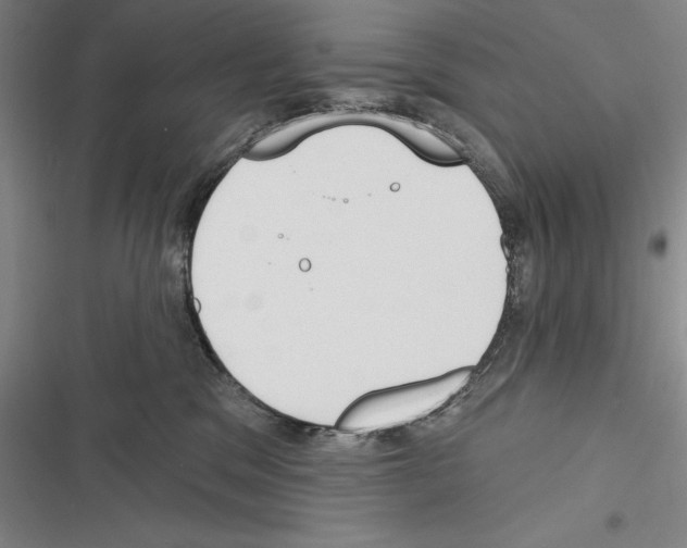 X0000116380329201001131814