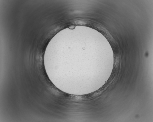 X0000116380330201001131814
