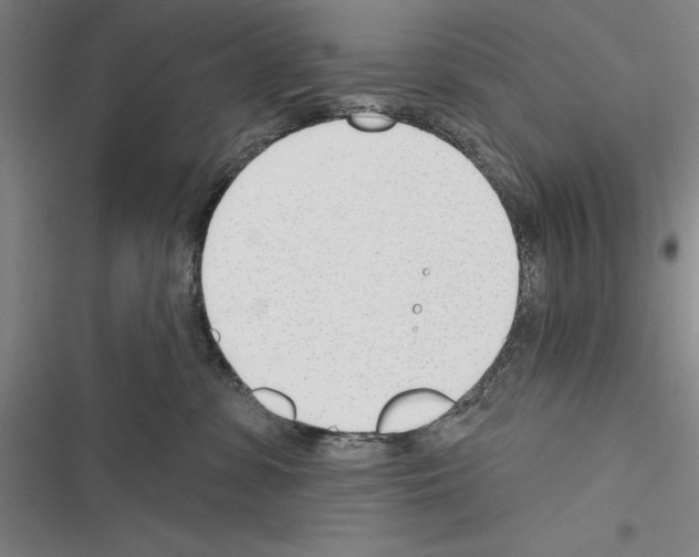 X0000116380331201001131814