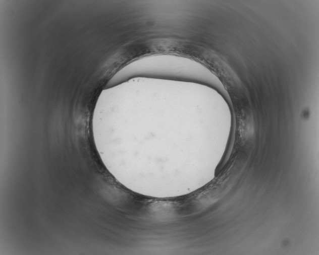 X0000116380332201001131813