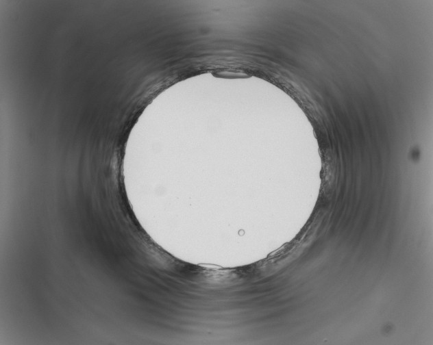 X0000116380333201001131813