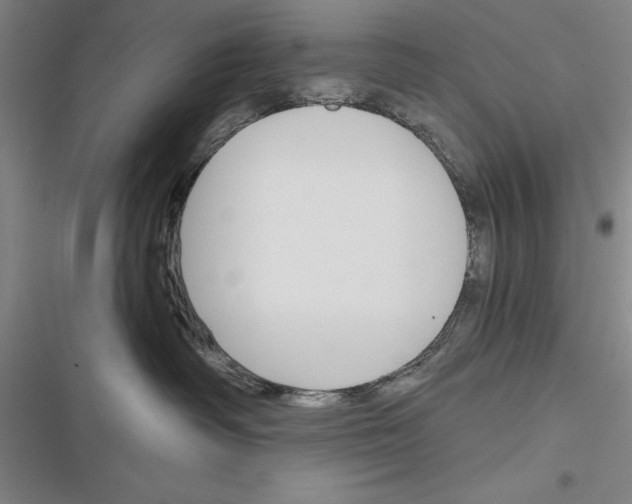 X0000116380334201001131813
