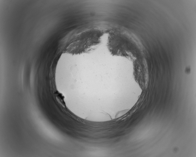 X0000116380335201001131813
