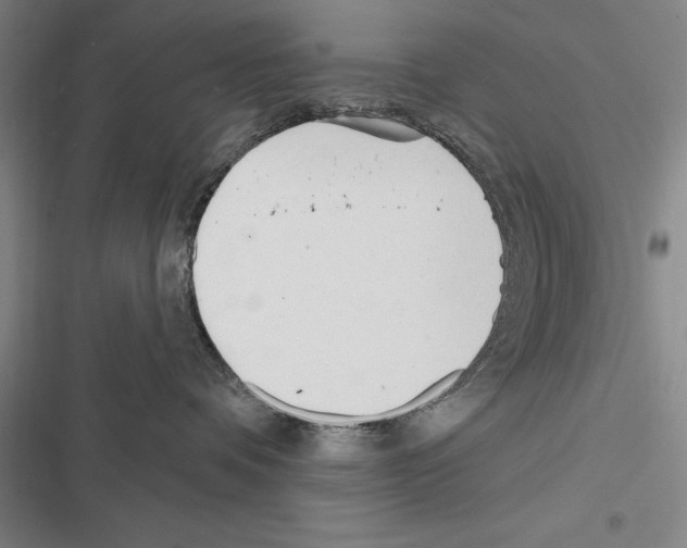 X0000116380336201001131813