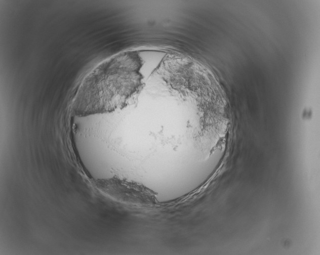 X0000116380337201001131813