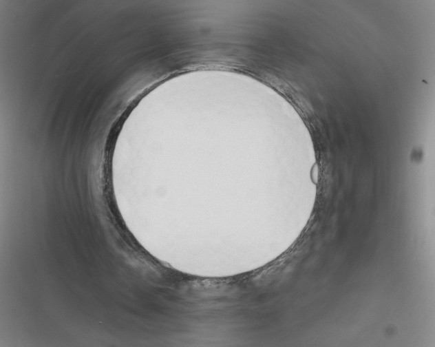 X0000116380338201001131813