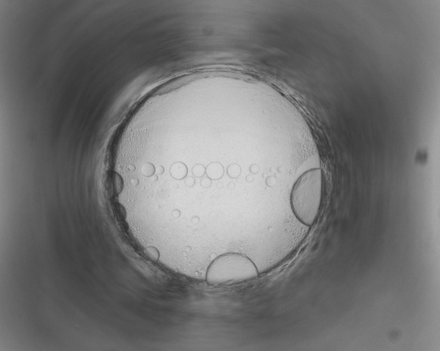 X0000116380339201001131813