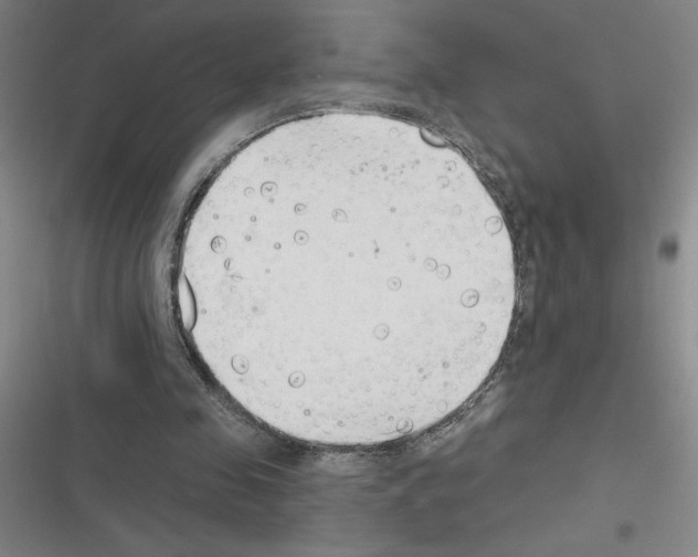 X0000116380341201001131813
