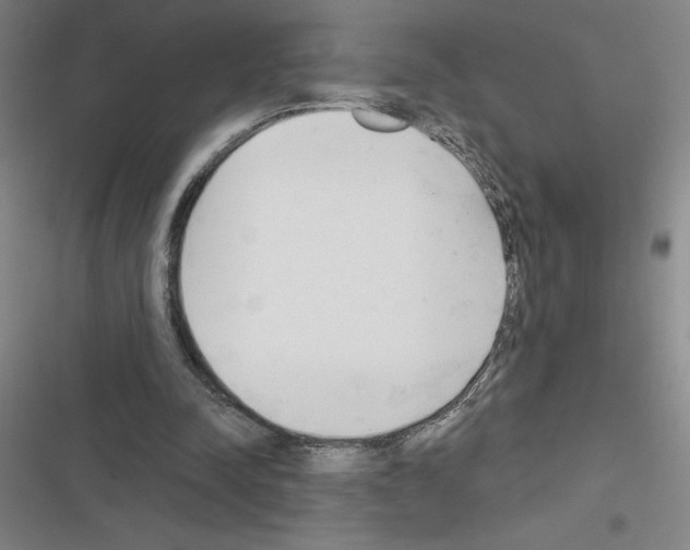 X0000116380342201001131813