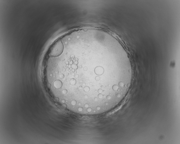 X0000116380343201001131813