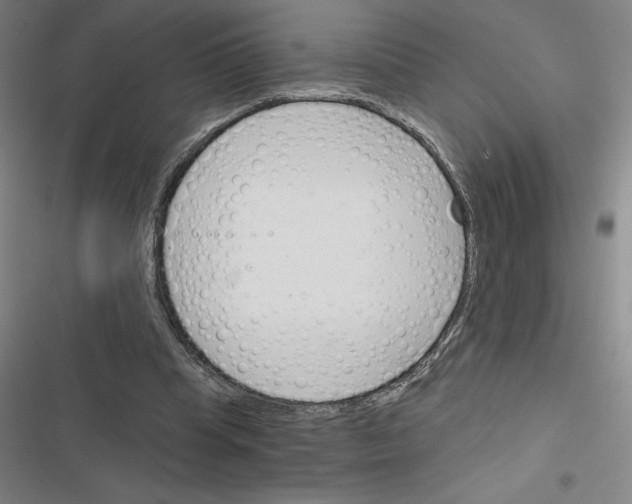 X0000116380345201001131813