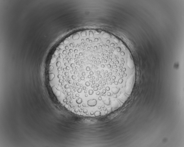 X0000116380346201001131813