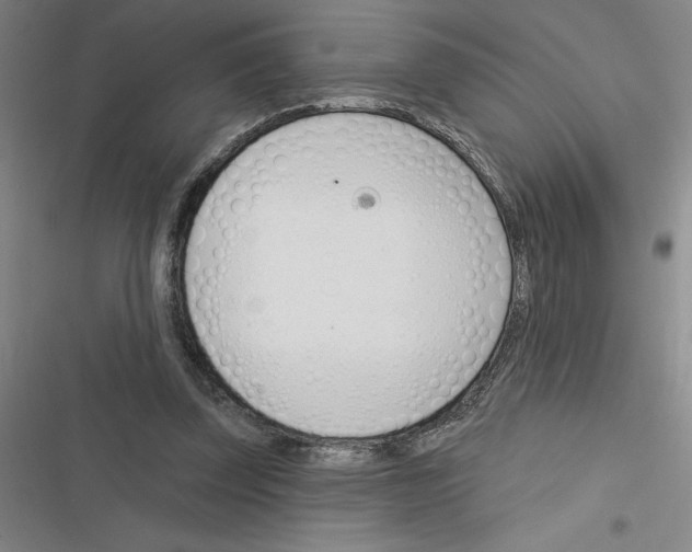 X0000116380347201001131813