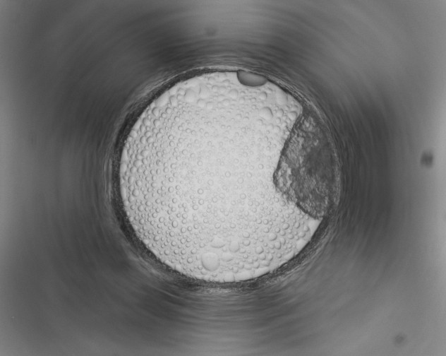 X0000116380349201001131813
