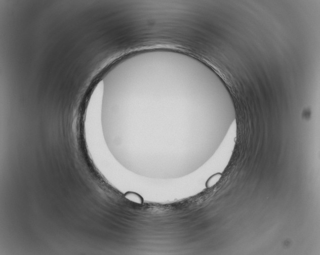 X0000116380350201001131813