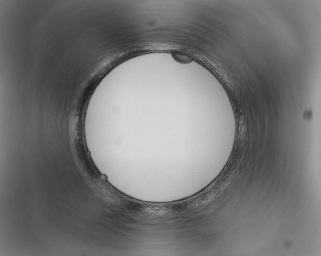 X0000116380351201001131813