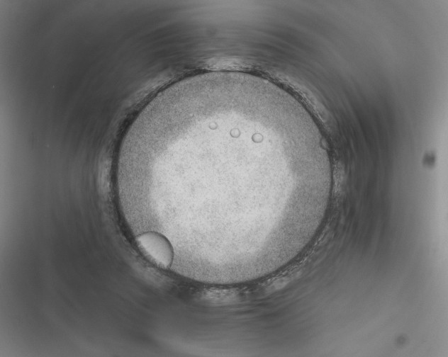X0000116380353201001131813