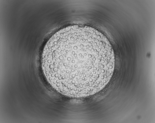 X0000116380354201001131813
