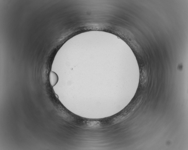 X0000116380355201001131813