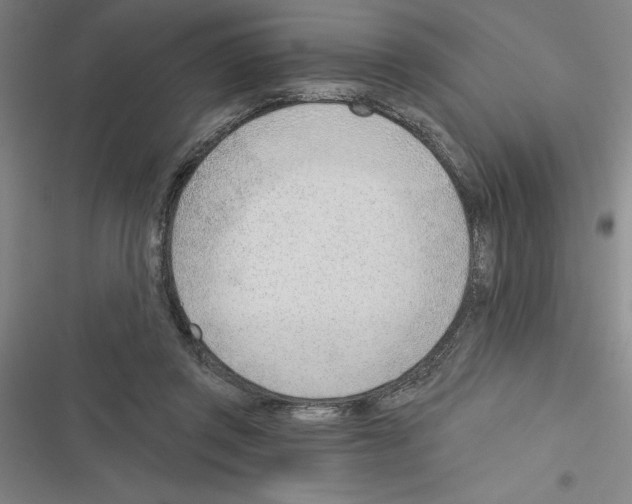 X0000116380357201001131813