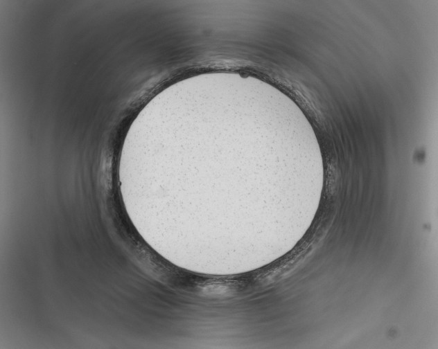 X0000116380358201001131813