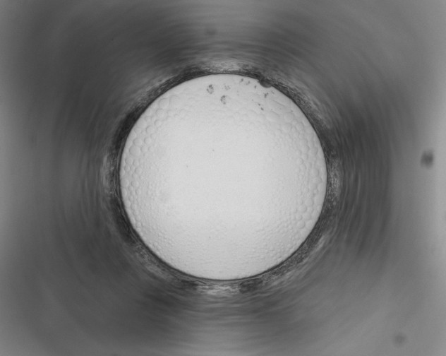 X0000116380359201001131813