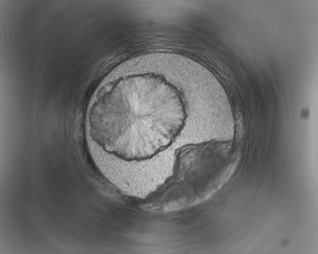 X0000116380361201001131813
