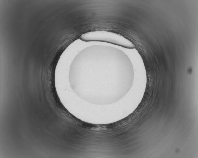 X0000116380362201001131813